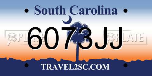 6073JJ South Carolina License Plate
