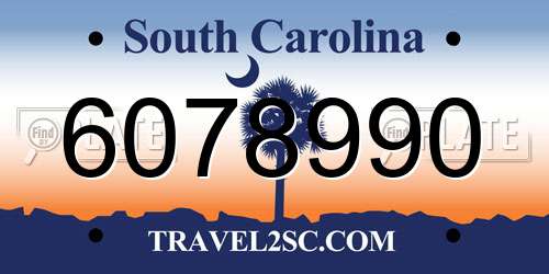 6078990 South Carolina License Plate