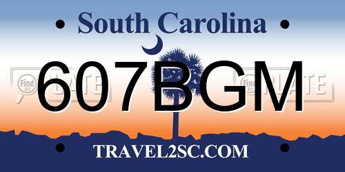 607BGM South Carolina License Plate