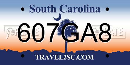 607GA8 South Carolina License Plate