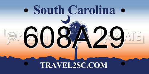 608A29 South Carolina License Plate