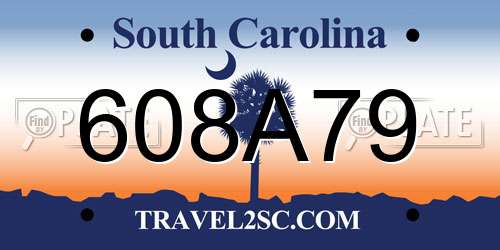 608A79 South Carolina License Plate