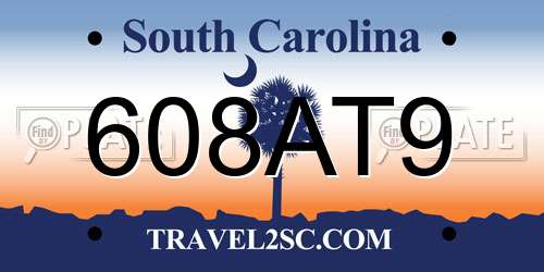 608AT9 South Carolina License Plate