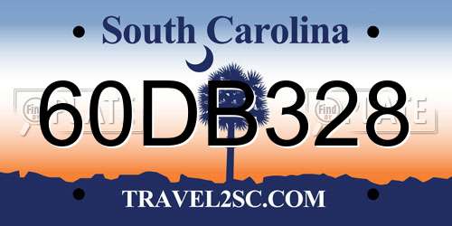 60DB328 South Carolina License Plate