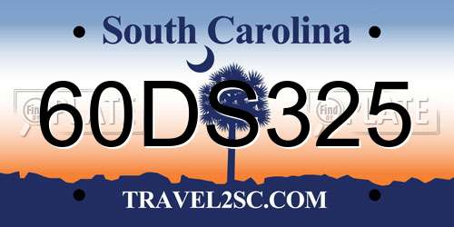 60DS325 South Carolina License Plate