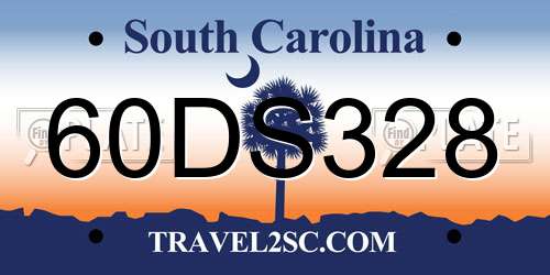 60DS328 South Carolina License Plate