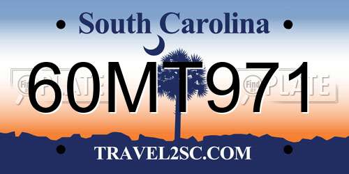 60MT971 South Carolina License Plate