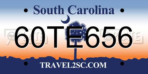 60TE656 South Carolina License Plate