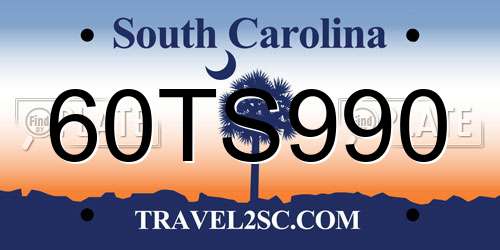 60TS990 South Carolina License Plate
