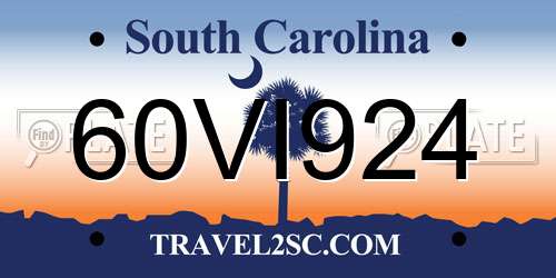 60VI924 South Carolina License Plate