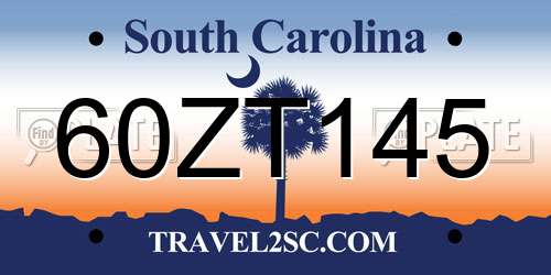 60ZT145 South Carolina License Plate