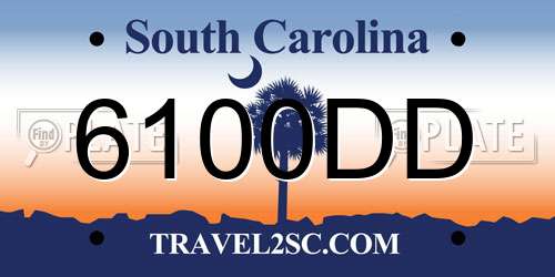 6100DD South Carolina License Plate