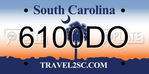 6100DO South Carolina License Plate
