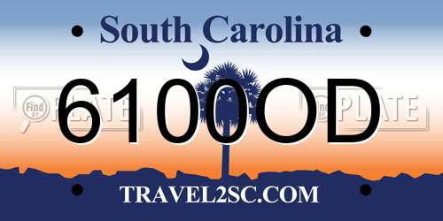 6100OD South Carolina License Plate