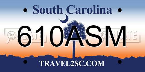 610ASM South Carolina License Plate