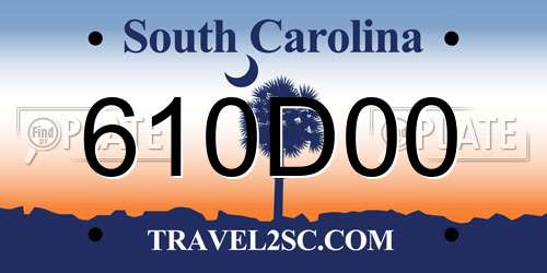610D00 South Carolina License Plate