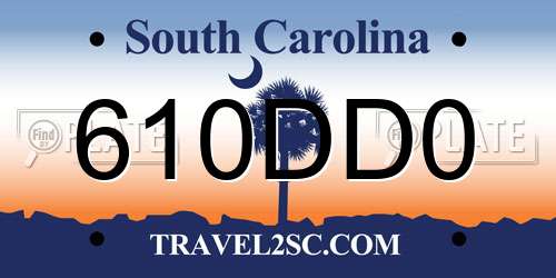 610DD0 South Carolina License Plate