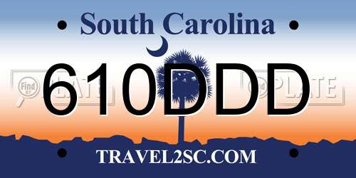 610DDD South Carolina License Plate
