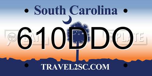 610DDO South Carolina License Plate
