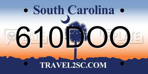 610DOO South Carolina License Plate