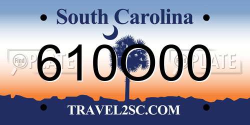 610O00 South Carolina License Plate