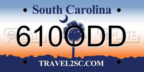 610ODD South Carolina License Plate