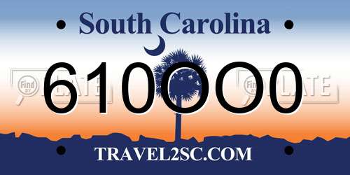 610OO0 South Carolina License Plate