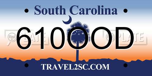 610OOD South Carolina License Plate