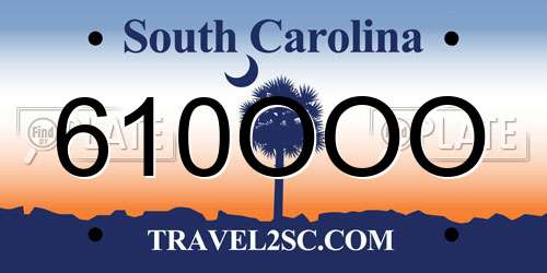 610OOO South Carolina License Plate