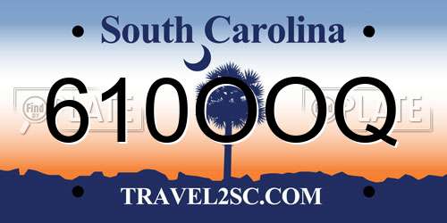 610OOQ South Carolina License Plate
