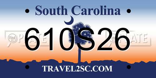 610S26 South Carolina License Plate