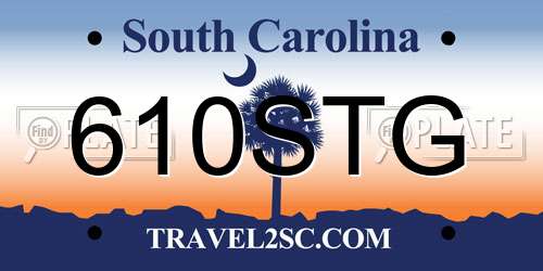 610STG South Carolina License Plate