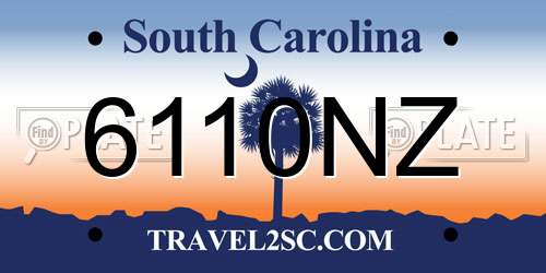6110NZ South Carolina License Plate