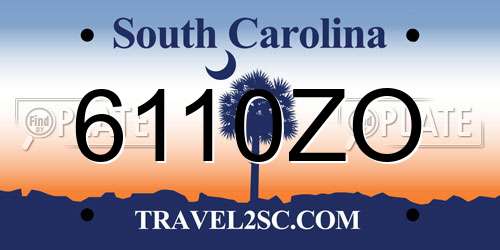6110ZO South Carolina License Plate
