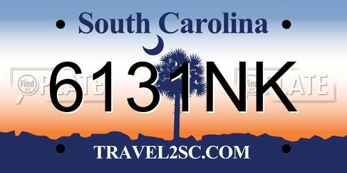 6131NK South Carolina License Plate