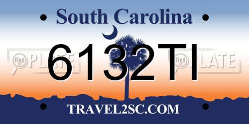 6132TI South Carolina License Plate