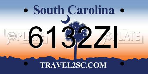 6132ZI South Carolina License Plate