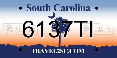 6137TI South Carolina License Plate