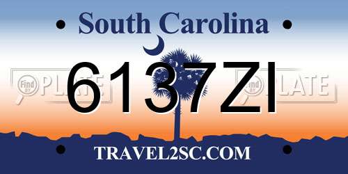 6137ZI South Carolina License Plate