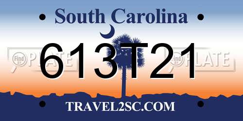 613T21 South Carolina License Plate