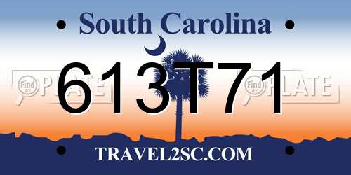613T71 South Carolina License Plate
