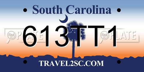 613TT1 South Carolina License Plate