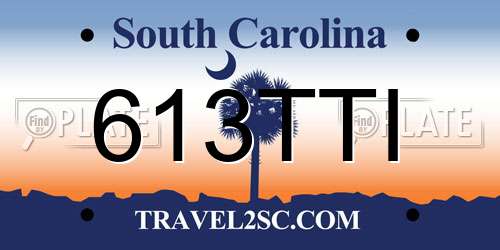 613TTI South Carolina License Plate