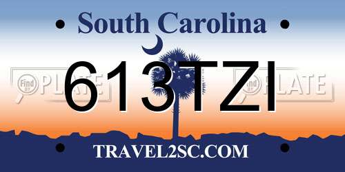613TZI South Carolina License Plate
