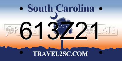 613Z21 South Carolina License Plate