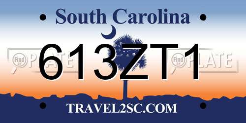 613ZT1 South Carolina License Plate