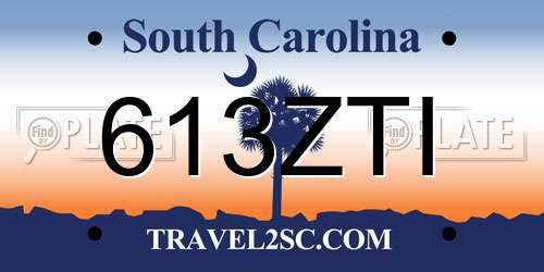 613ZTI South Carolina License Plate