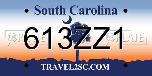 613ZZ1 South Carolina License Plate