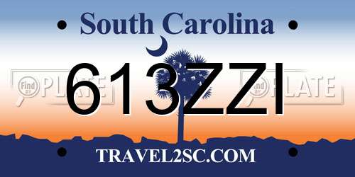 613ZZI South Carolina License Plate
