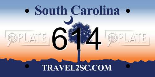 614 South Carolina License Plate